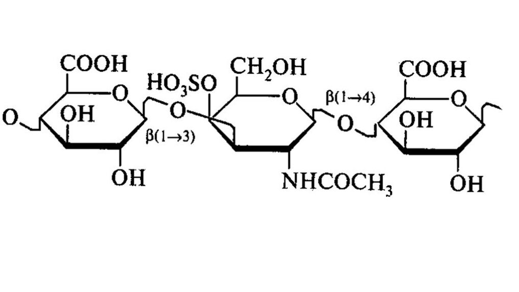 Chondroitinas OstyHealth