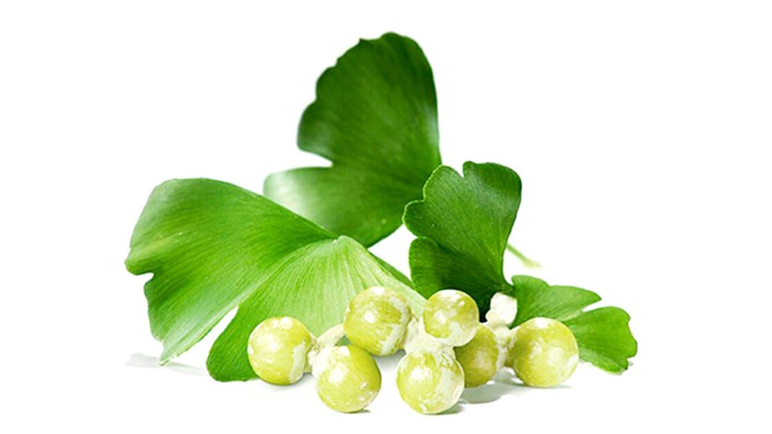 Ginkgo bilobe in OstyHealth