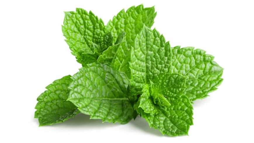 Mentholas OstyHealth